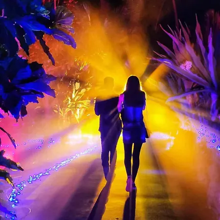 Appartement Rosa Güimar